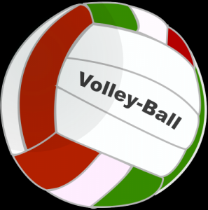 anonymous_volleyball_1.png